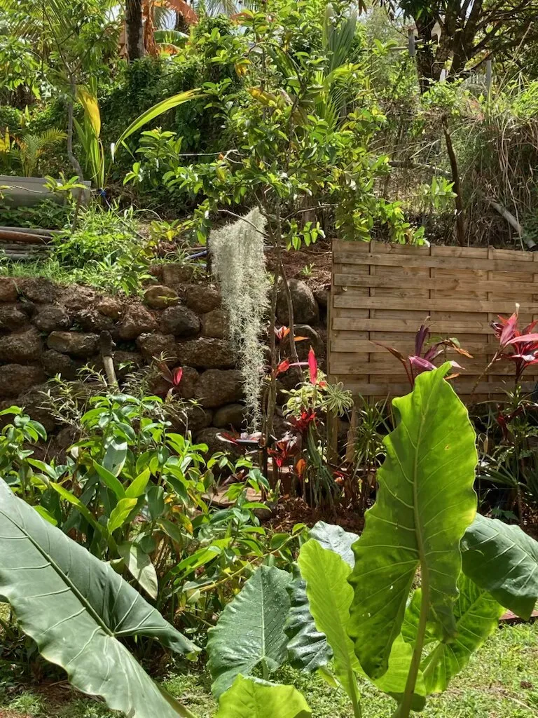 Douche solaire extérieure dans le jardin, Les Vendredis