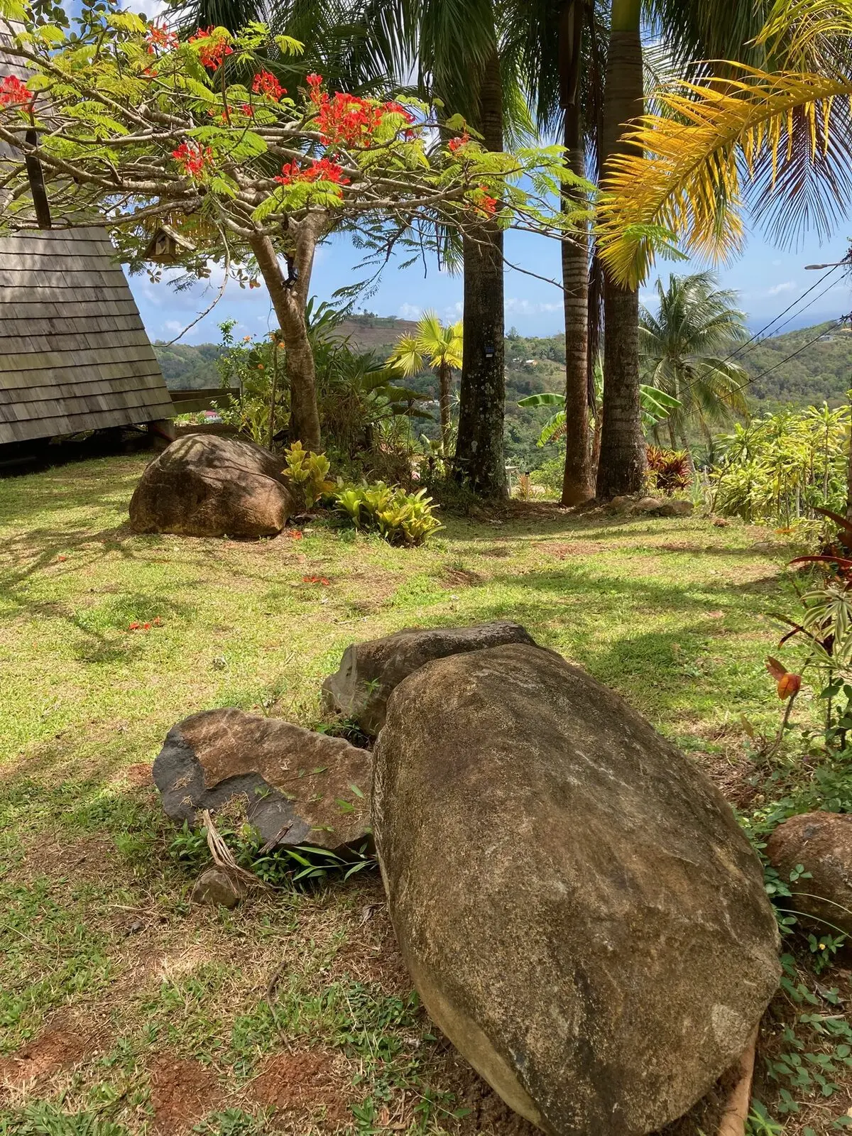 View of Montravail forest