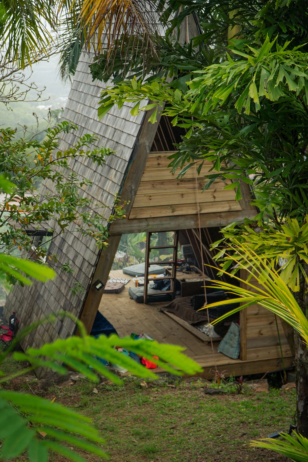 The A-frame nested in the forest, the inside visible through the foliage
