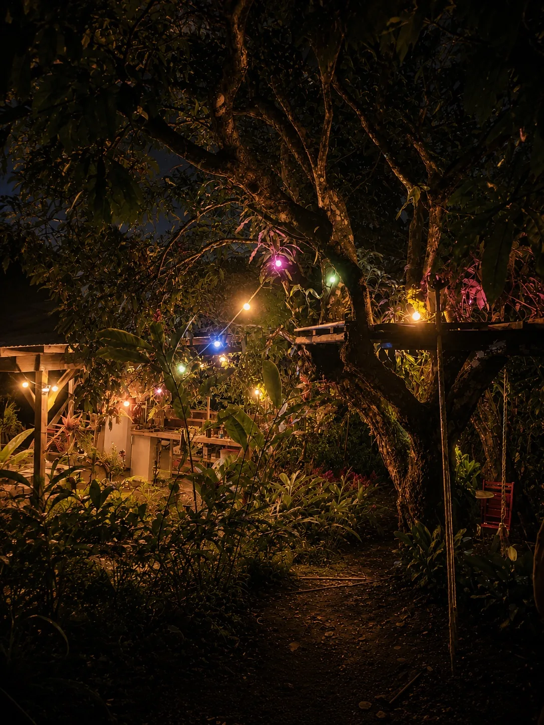 Guirlandes lumineuses dans le manguier du jardin des Vendredis la nuit