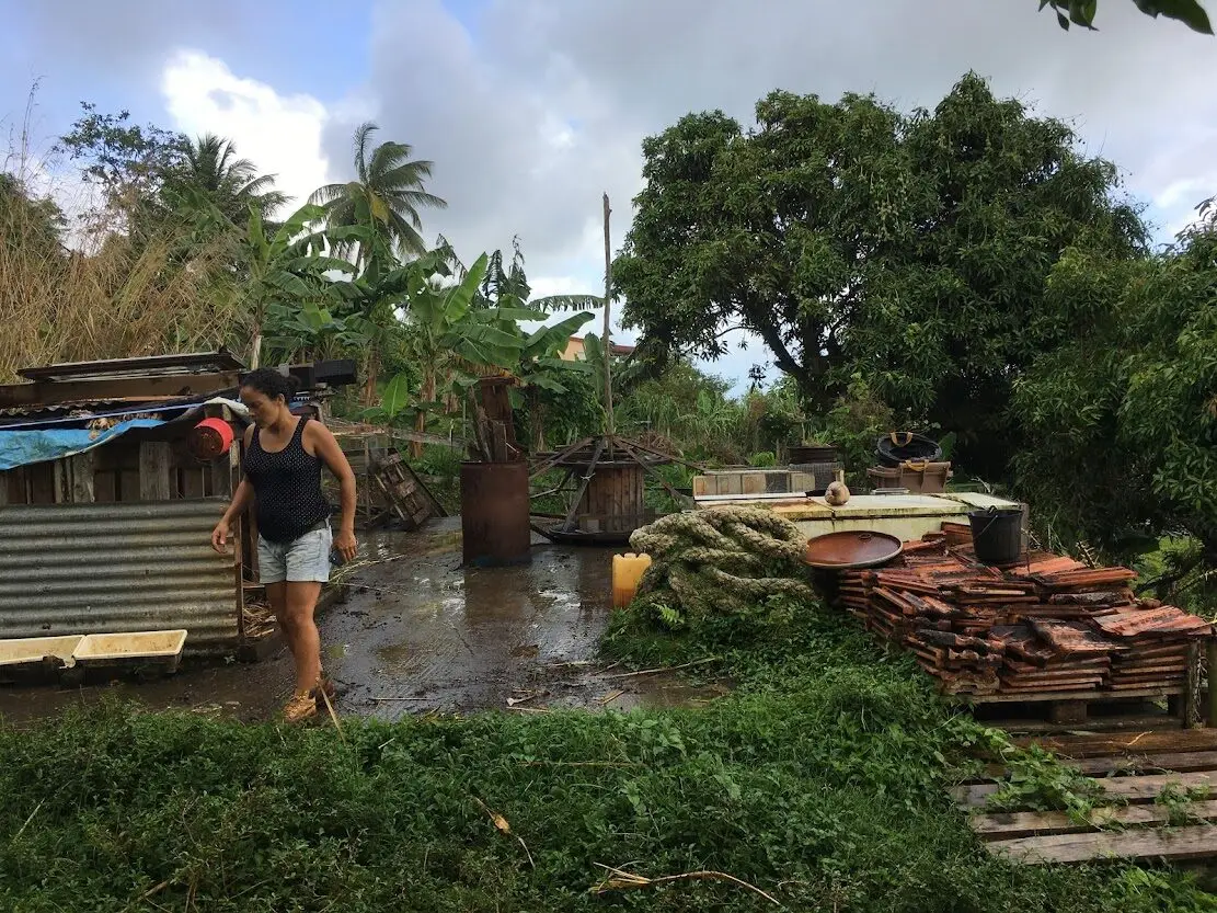 Début du chantier des Vendredis, terrain avant construction, Martinique